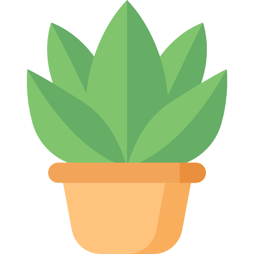 Young Plant