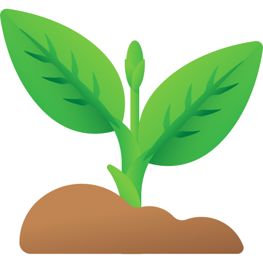 Growing flower